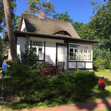 Bungalow Beachhouse Больтенхаген Экстерьер фото