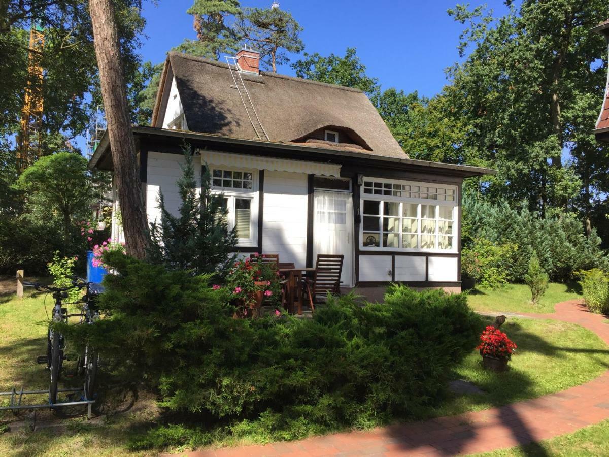 Bungalow Beachhouse Больтенхаген Экстерьер фото